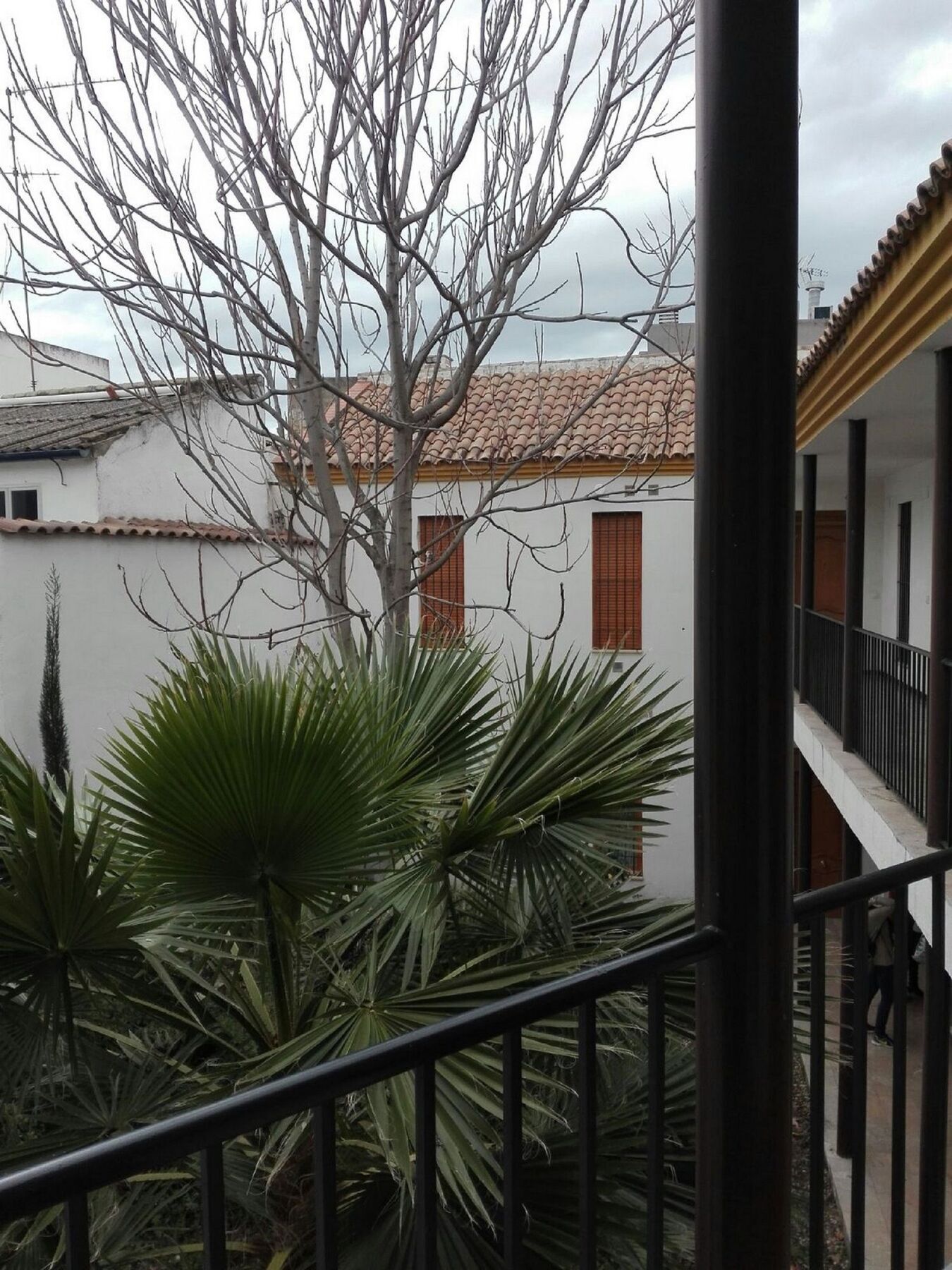 Apartamento Alfonso XII Córdoba Eksteriør billede